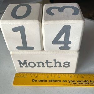 Mud Pie Milestone Wood Blocks  (3 separate blocks)